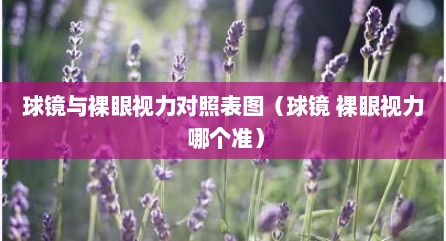 球镜与裸眼视力对照表图（球镜 裸眼视力 哪个准）