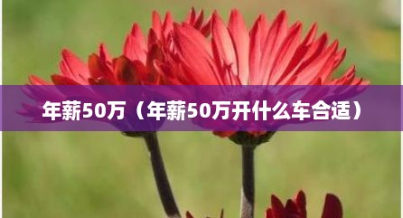 年薪50万（年薪50万开什么车合适）