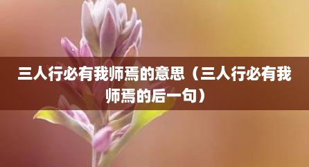 三人行必有我师焉的意思（三人行必有我师焉的后一句）