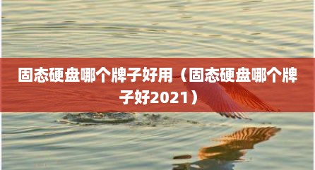 固态硬盘哪个牌子好用（固态硬盘哪个牌子好2021）