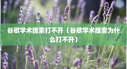 谷歌学术搜索打不开（谷歌学术搜索为什么打不开）