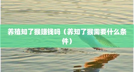 养殖知了猴赚钱吗（养知了猴需要什么条件）