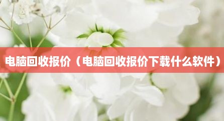 电脑回收报价（电脑回收报价下载什么软件）