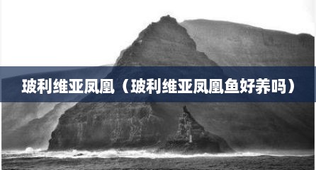 玻利维亚凤凰（玻利维亚凤凰鱼好养吗）