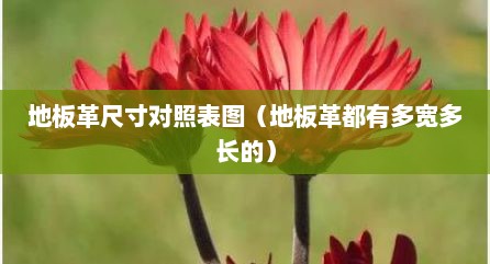 地板革尺寸对照表图（地板革都有多宽多长的）