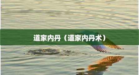 道家内丹（道家内丹术）