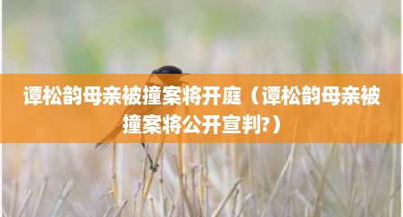 谭松韵母亲被撞案将开庭（谭松韵母亲被撞案将公开宣判?）