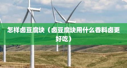 怎样卤豆腐块（卤豆腐块用什么香料卤更好吃）