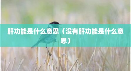 肝功能是什么意思（没有肝功能是什么意思）