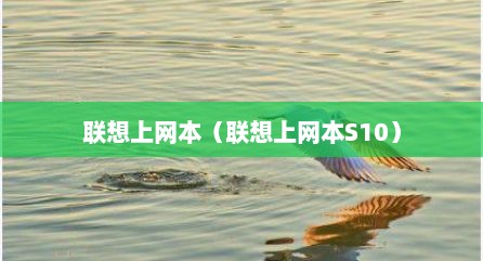 联想上网本（联想上网本S10）