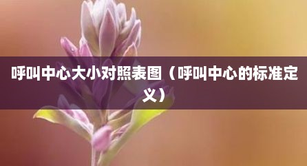 呼叫中心大小对照表图（呼叫中心的标准定义）