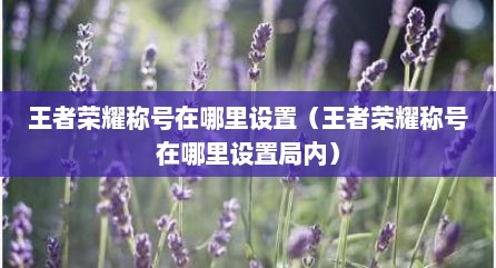 王者荣耀称号在哪里设置（王者荣耀称号在哪里设置局内）