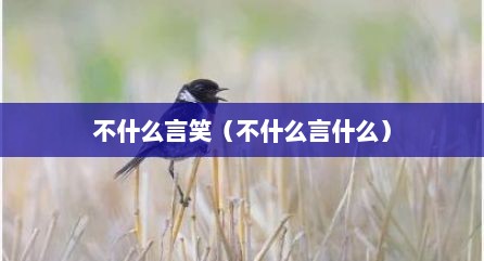 不什么言笑（不什么言什么）