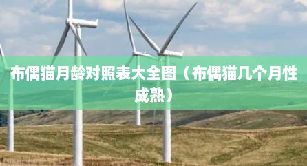 布偶猫月龄对照表大全图（布偶猫几个月性成熟）