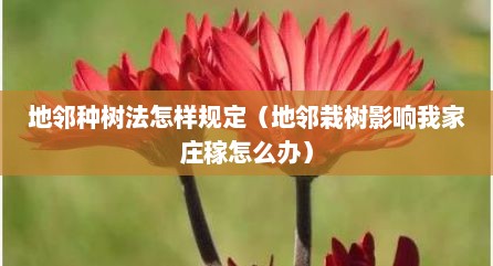 地邻种树法怎样规定（地邻栽树影响我家庄稼怎么办）