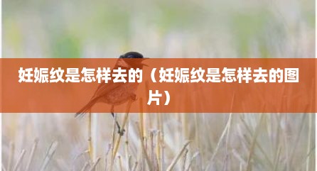 妊娠纹是怎样去的（妊娠纹是怎样去的图片）