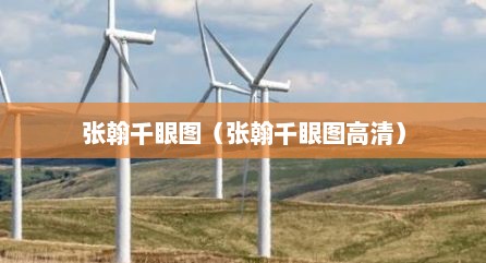 张翰千眼图（张翰千眼图高清）