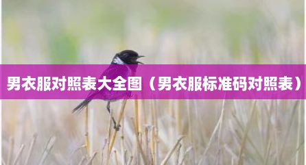 男衣服对照表大全图（男衣服标准码对照表）
