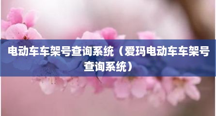电动车车架号查询系统（爱玛电动车车架号查询系统）