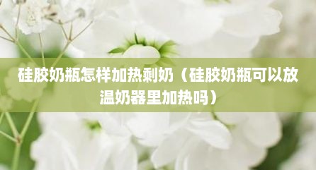 硅胶奶瓶怎样加热剩奶（硅胶奶瓶可以放温奶器里加热吗）