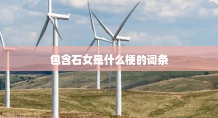包含石女是什么梗的词条