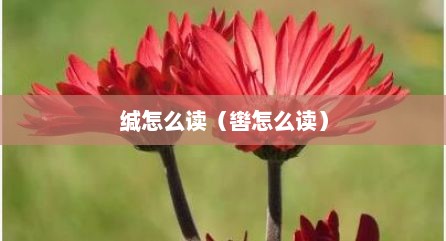缄怎么读（辔怎么读）