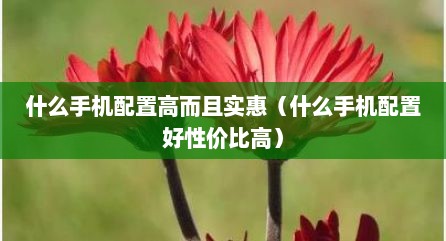 什么手机配置高而且实惠（什么手机配置好性价比高）