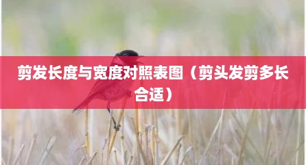 剪发长度与宽度对照表图（剪头发剪多长合适）