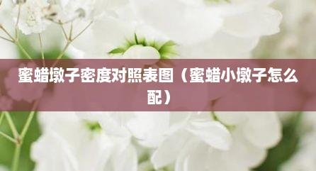 蜜蜡墩子密度对照表图（蜜蜡小墩子怎么配）