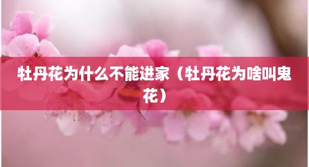 牡丹花为什么不能进家（牡丹花为啥叫鬼花）