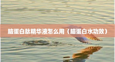 脑蛋白肽精华液怎么用（脑蛋白水功效）