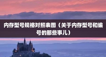 内存型号规格对照表图（关于内存型号和编号的那些事儿）