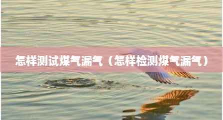 怎样测试煤气漏气（怎样检测煤气漏气）