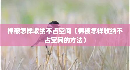 棉被怎样收纳不占空间（棉被怎样收纳不占空间的方法）