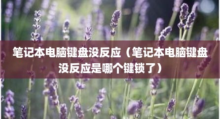 笔记本电脑键盘没反应（笔记本电脑键盘没反应是哪个键锁了）