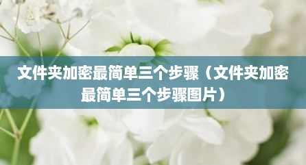 文件夹加密最简单三个步骤（文件夹加密最简单三个步骤图片）