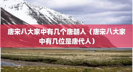 唐宋八大家中有几个唐朝人（唐宋八大家中有几位是唐代人）