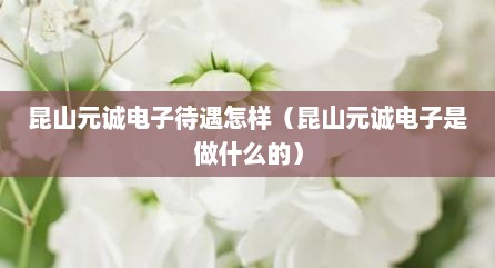 昆山元诚电子待遇怎样（昆山元诚电子是做什么的）