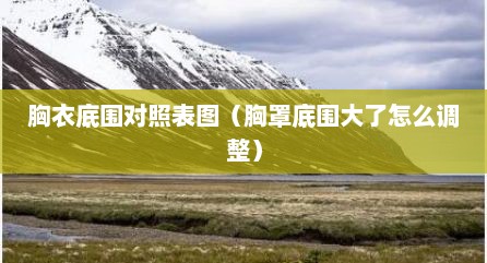胸衣底围对照表图（胸罩底围大了怎么调整）