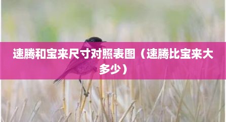 速腾和宝来尺寸对照表图（速腾比宝来大多少）