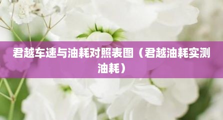 君越车速与油耗对照表图（君越油耗实测油耗）