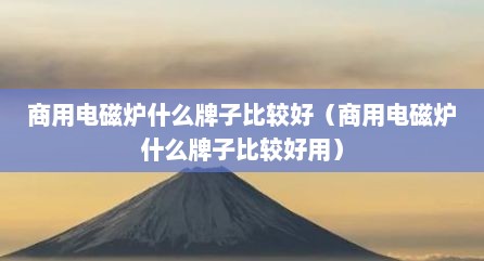商用电磁炉什么牌子比较好（商用电磁炉什么牌子比较好用）