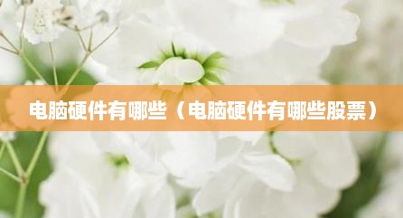 电脑硬件有哪些（电脑硬件有哪些股票）