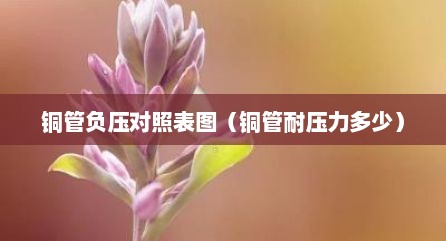 铜管负压对照表图（铜管耐压力多少）