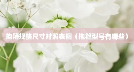 抱箍规格尺寸对照表图（抱箍型号有哪些）