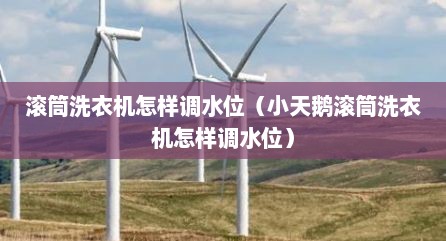 滚筒洗衣机怎样调水位（小天鹅滚筒洗衣机怎样调水位）