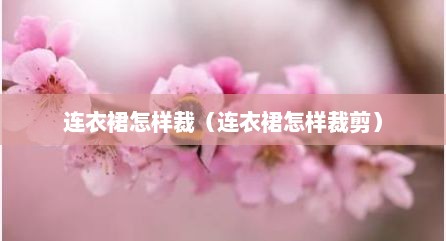 连衣裙怎样裁（连衣裙怎样裁剪）