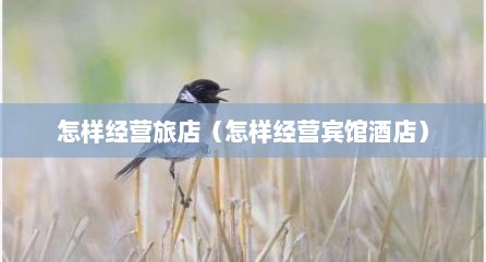 怎样经营旅店（怎样经营宾馆酒店）