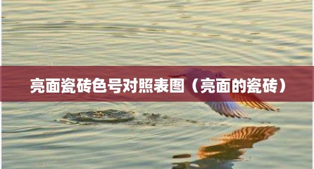 亮面瓷砖色号对照表图（亮面的瓷砖）