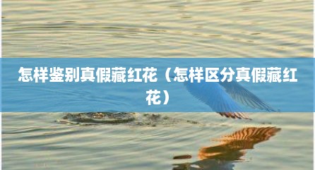 怎样鉴别真假藏红花（怎样区分真假藏红花）